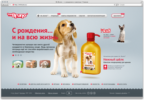 Разработка интернет-представительства производителя товаров для животных